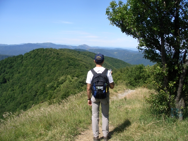 PAESAGGIO DAL BRIC DELLE CAMERE.jpg